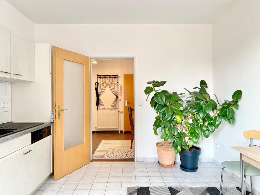 Apartament Luxus-Oase In Bad Wilsnack Zewnętrze zdjęcie